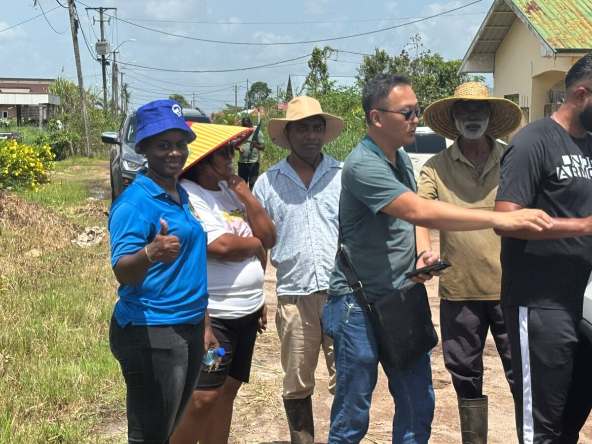 buurtmanaers tsang de nieuwe grond