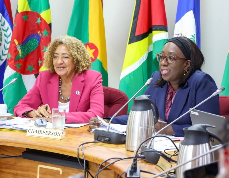 buza suriname caricom