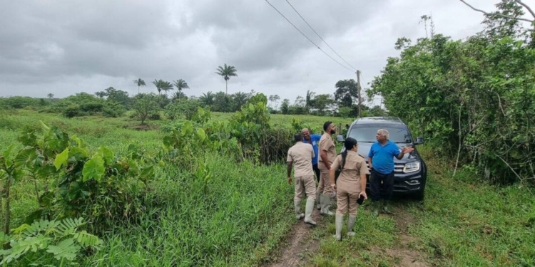 dc bhattoe van wanica en boeren reeberg