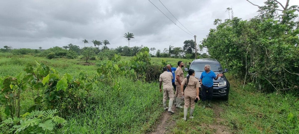 dc bhattoe van wanica en boeren reeberg