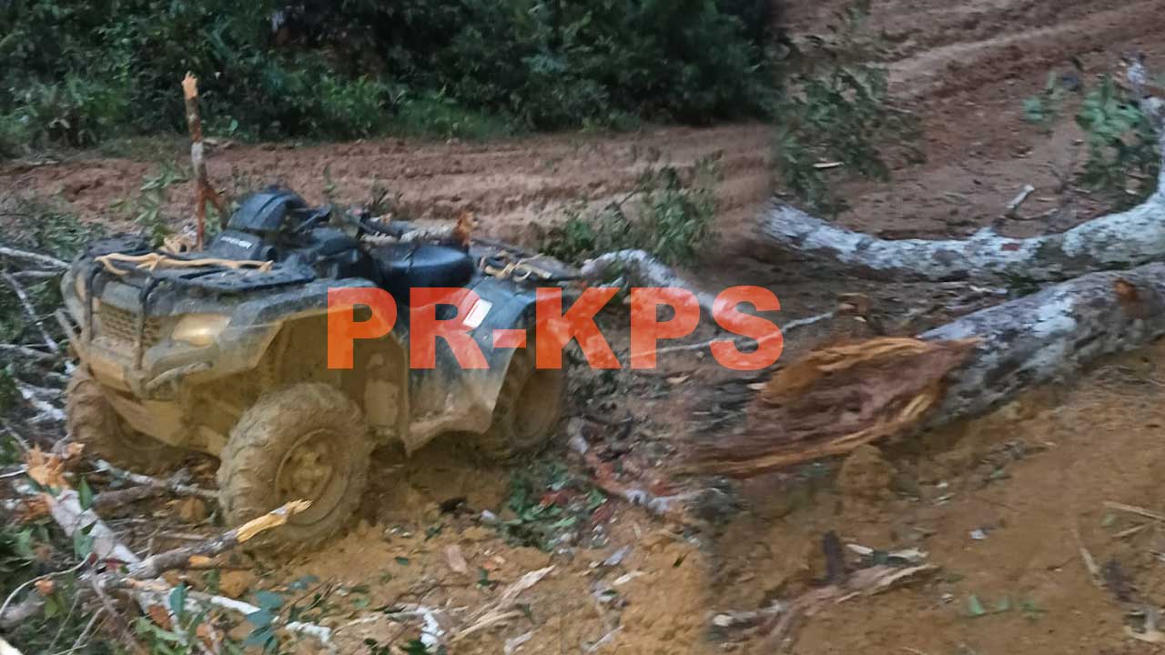 [Aggregator] Downloaded image for imported item #437055
