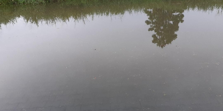 Wateroverlast