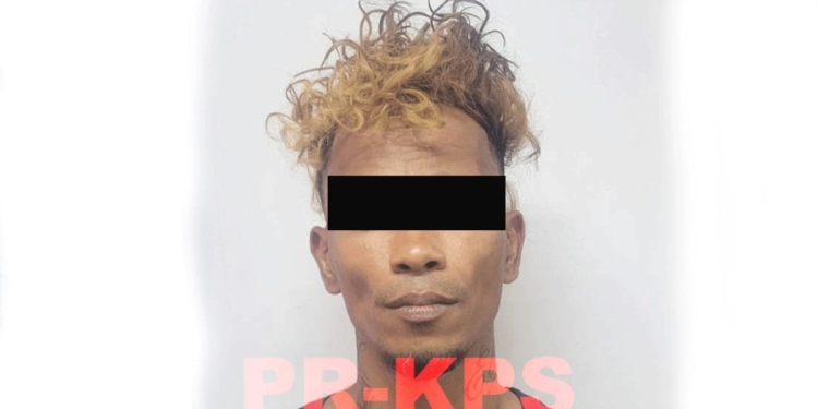 [Aggregator] Downloaded image for imported item #438254