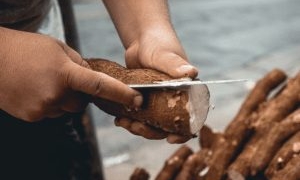 Binnenland opnieuw kwetsbaar door extreme neerslag