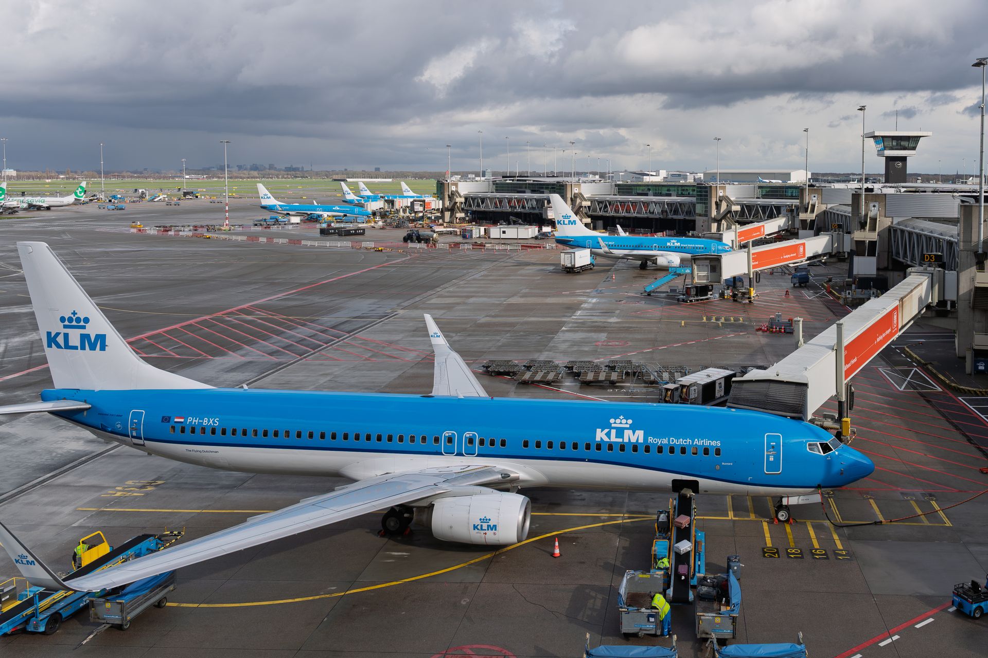 Voor sommigen voelt terugkeer niet als thuiskomen, maar als opnieuw emigreren. Foto: KLM kist op Schiphol