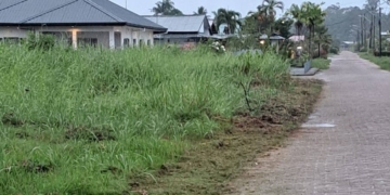 Bewoners vragen structurele oplossing voor terugkerende waterproblemen.