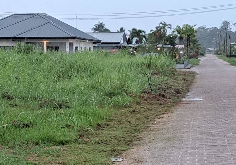 Bewoners vragen structurele oplossing voor terugkerende waterproblemen.