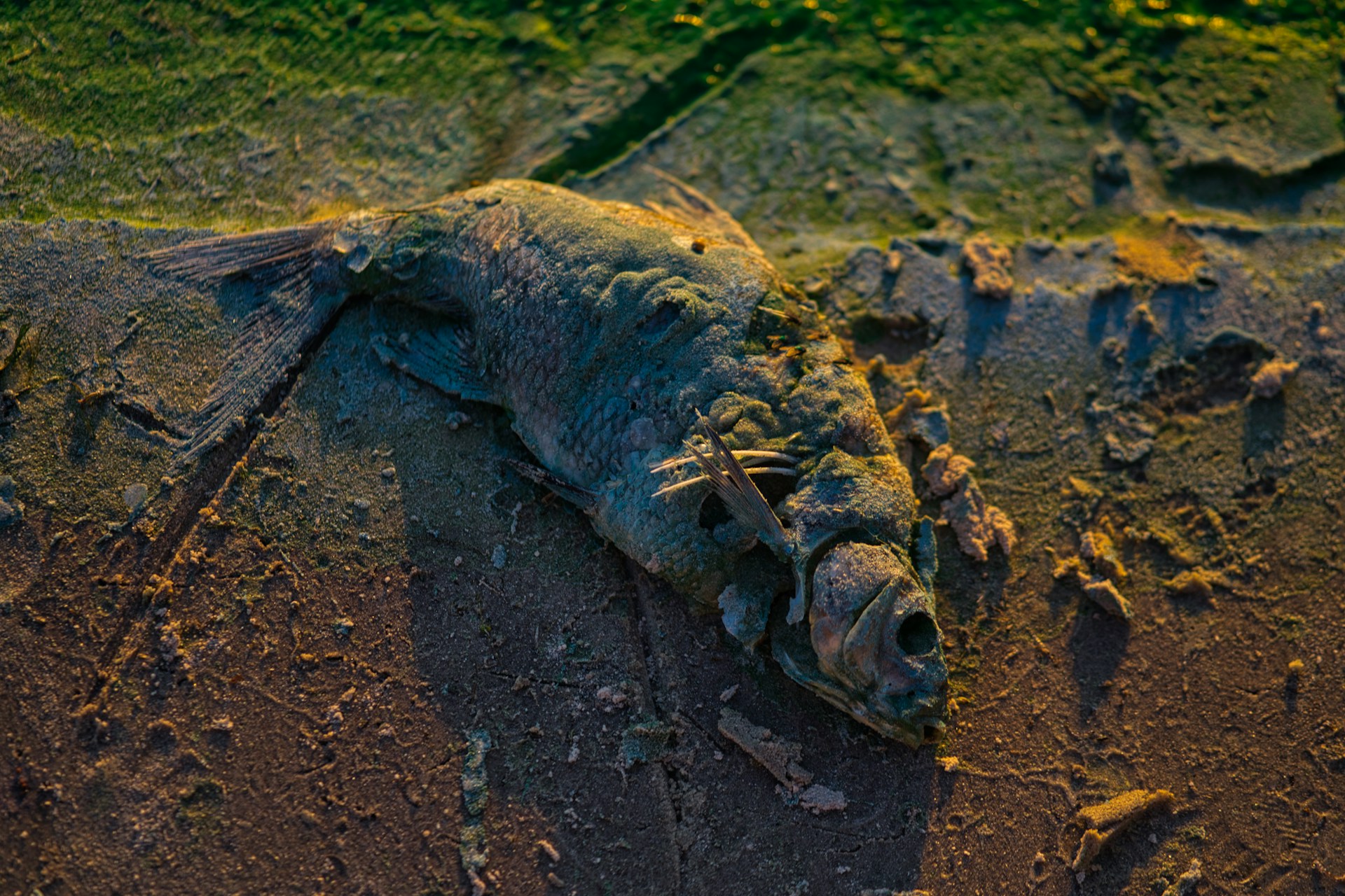 Minister Patrick Brunings. 'Omdat niet alle analyses in Suriname konden worden uitgevoerd, zijn op 15 juli water en vismonsters naar Frans Guyana gestuurd.' Foto ter illustratie.