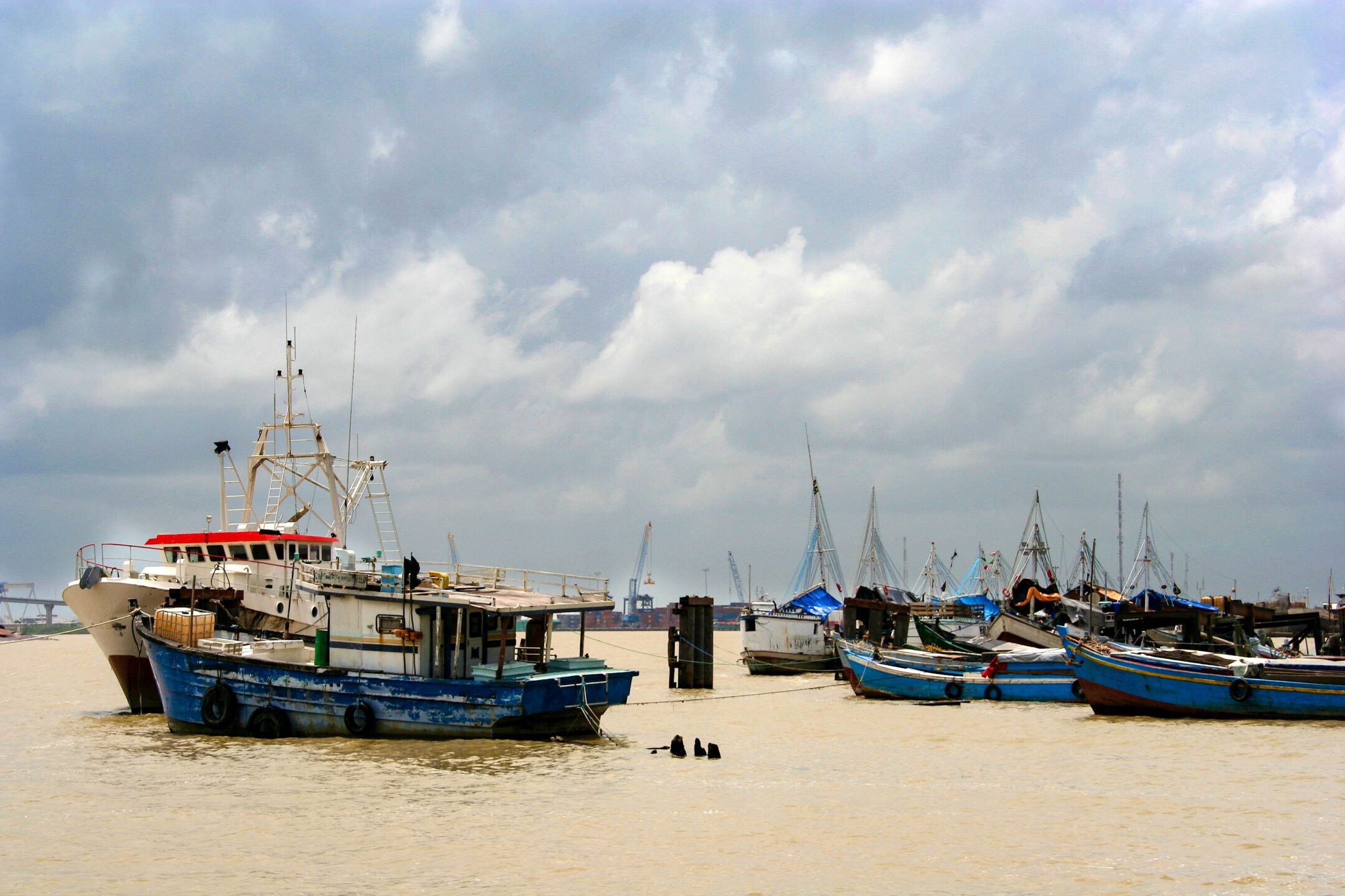 Verenigde Staten heropenen markt voor Surinaamse grondvis.