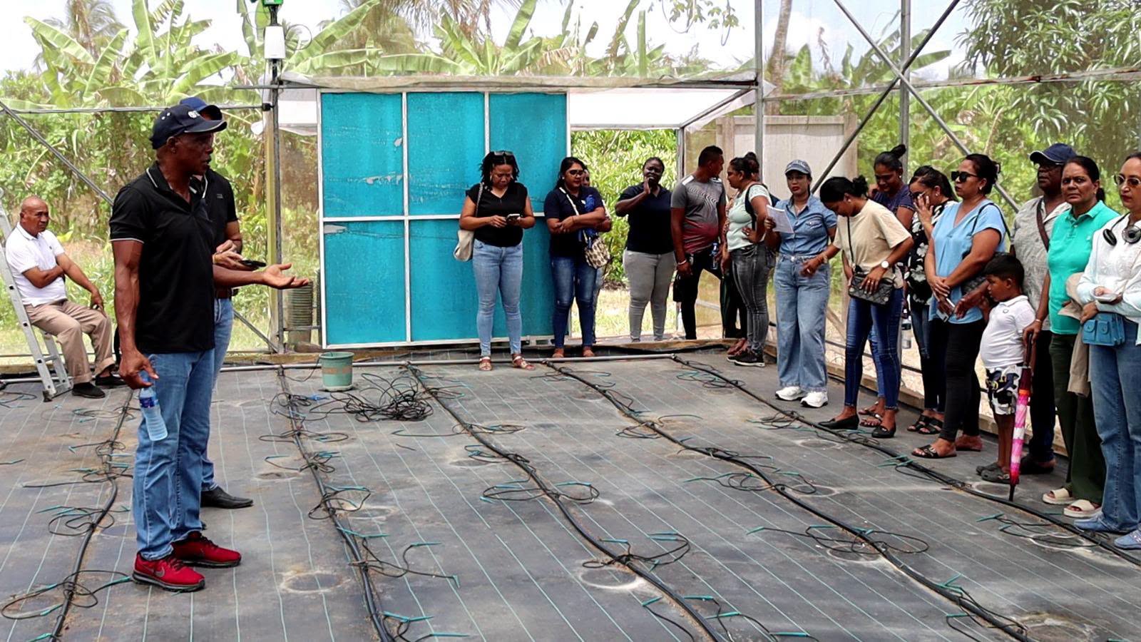 FAO richt pijlen op kassenteelt, vrouwen en jongeren in Suriname.