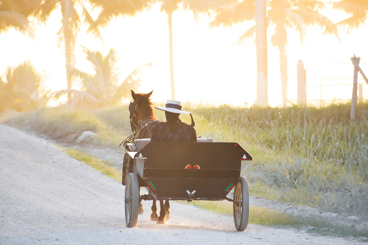 Illustratiefoto Mennonieten.
