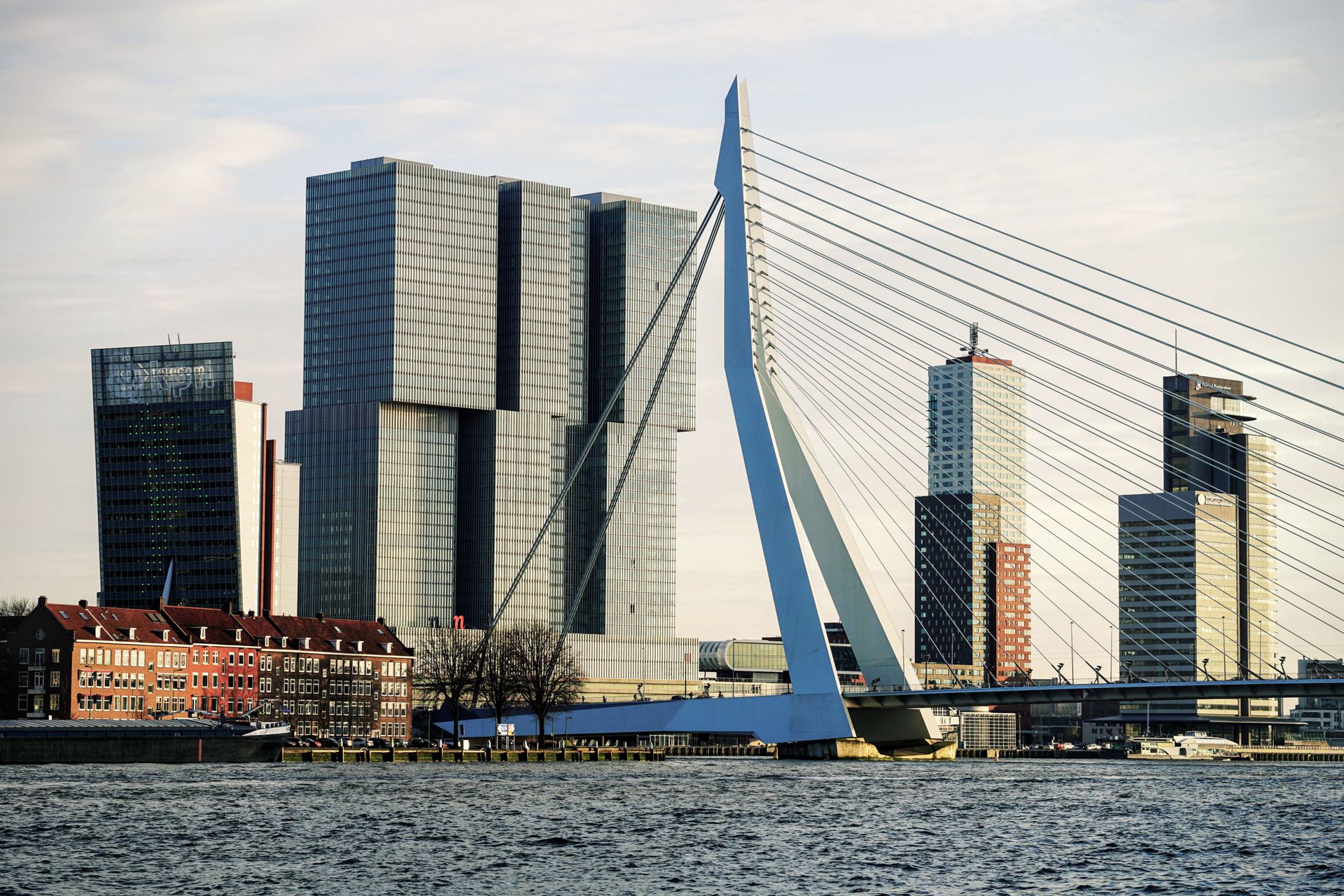 Tot ver in de twintigste eeuw was de boot de normale manier om tussen Nederland en Suriname te reizen. Foto: De Erasmusbrug Rotterdam