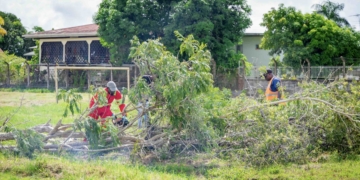Het Willebrod Axwijk Sport en Jeugdcentrum wordt schoongemaakt en opgeknapt om de negen sportvelden weer volledig bruikbaar te maken. Foto: CDS