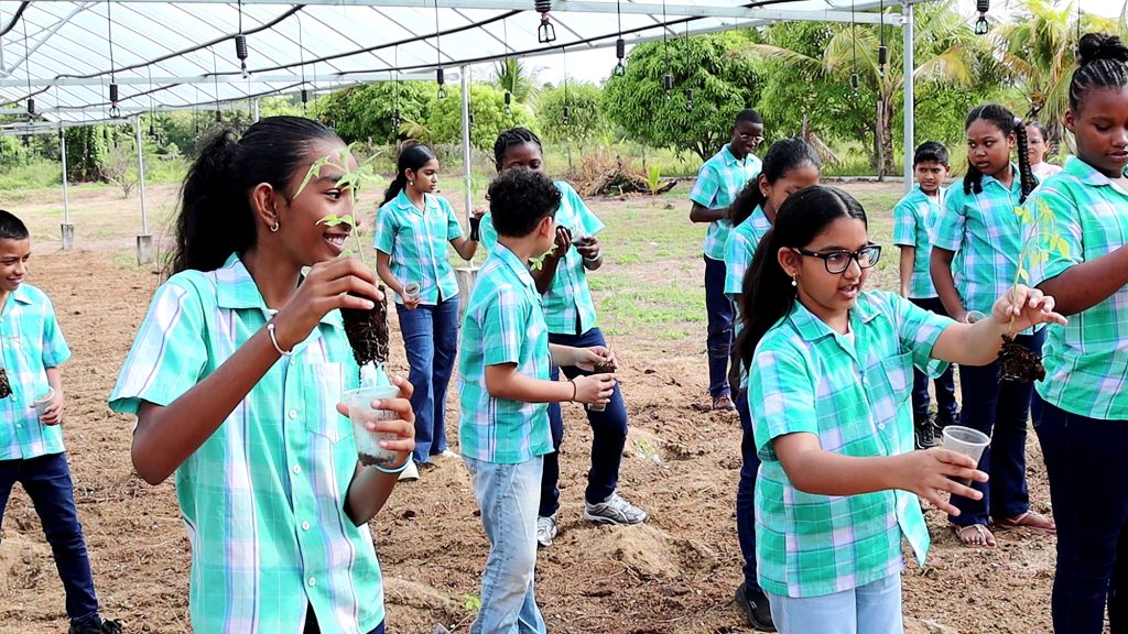 Tijdens Wereldvoedseldag krijgen Surinaamse scholieren landbouwlessen en hydroponicsystemen. Foto: CDS