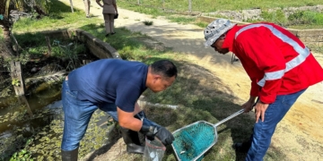 Water-, sediment- en vismonsters genomen na melding van vissterfte.