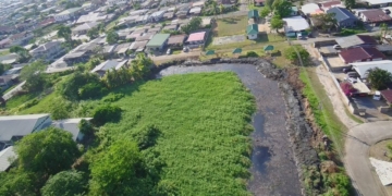 Foto: De Publieke Tribune Suriname.