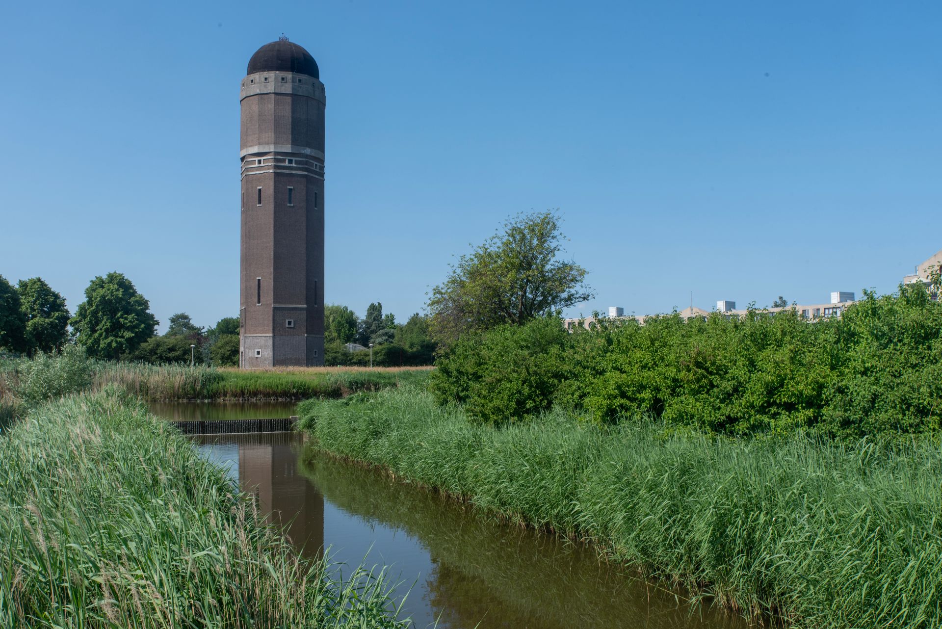 Zoetermeer behoort volgens CBS-cijfers tot de Nederlandse gemeenten met het hoogste aandeel inwoners met Surinaamse herkomst.